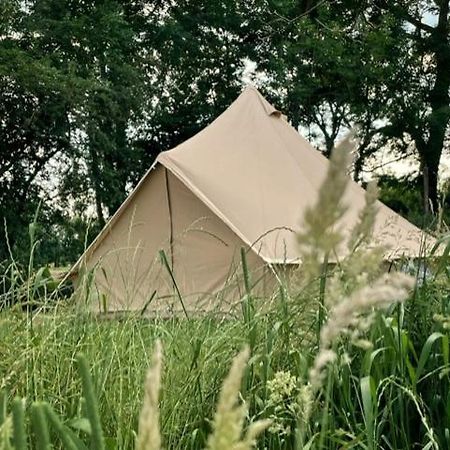 Hotel 'T Schaaphof Tent En Ontbijt Deinze Zewnętrze zdjęcie